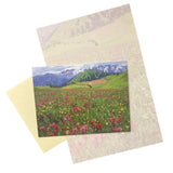Blank Cards