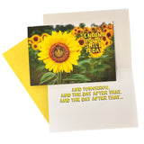 Get Well & Encouragement Cards