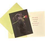 Anniversary/Wedding & Romance Cards