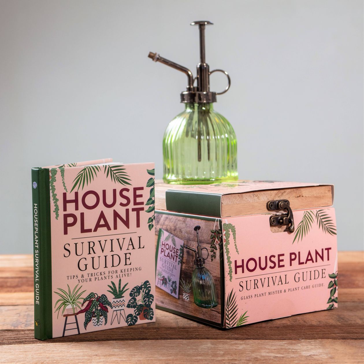 indoor planting gifts Boxer Gifts Houseplant Survival Set