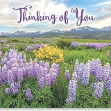 Love & Loving Thoughts