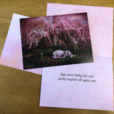 Get Well & Encouragement Cards