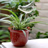 Bird Shaped Self Watering Bulbs