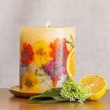 Accent Botanical Candle - Sugared Citrus