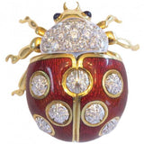 Magic Magnetic Brooch