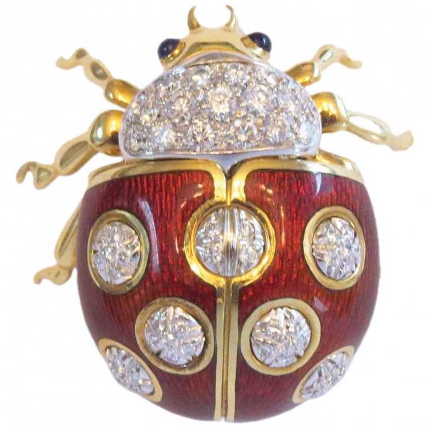 Magic Magnetic Brooch