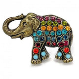 Magic Magnetic Brooch