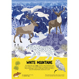 Mountains - Nature Pop-Up!