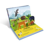 Mountains - Nature Pop-Up!