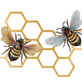 Luster Bee Wall Decor