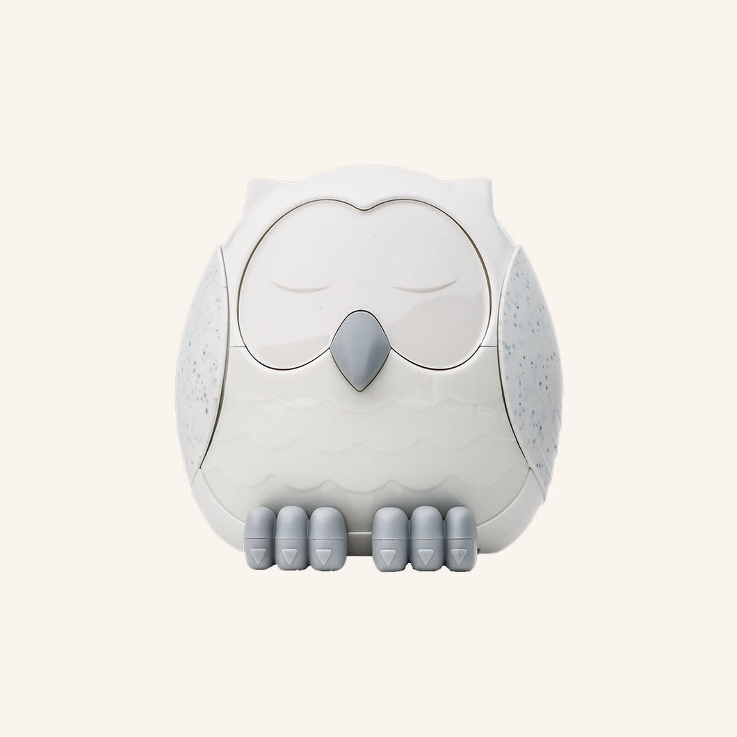 Snowy The Owl Diffuser