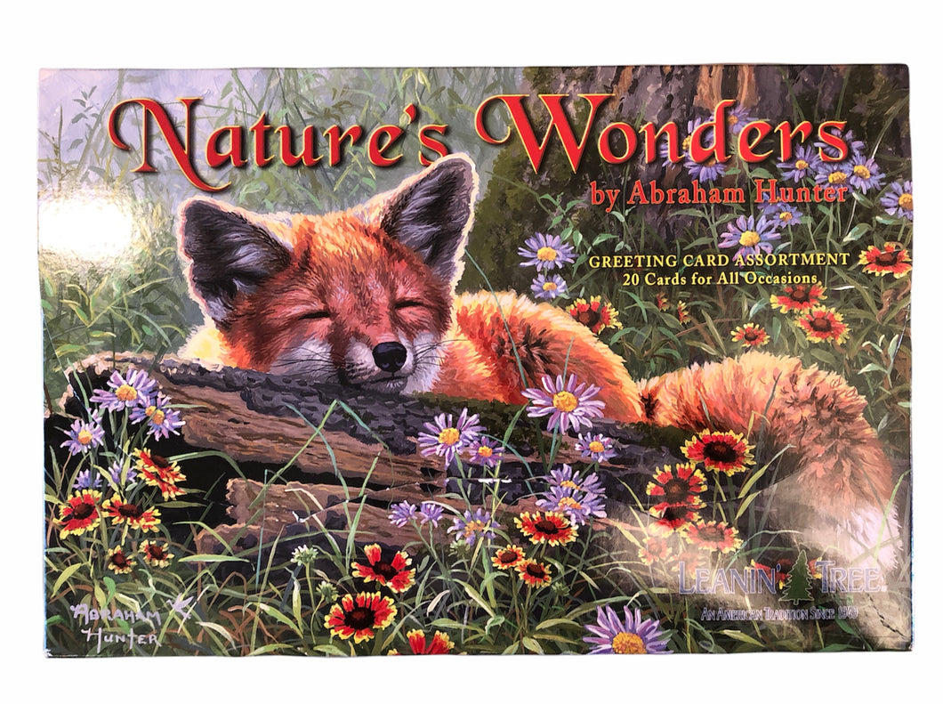 Nature's Wonders Boxed Cards