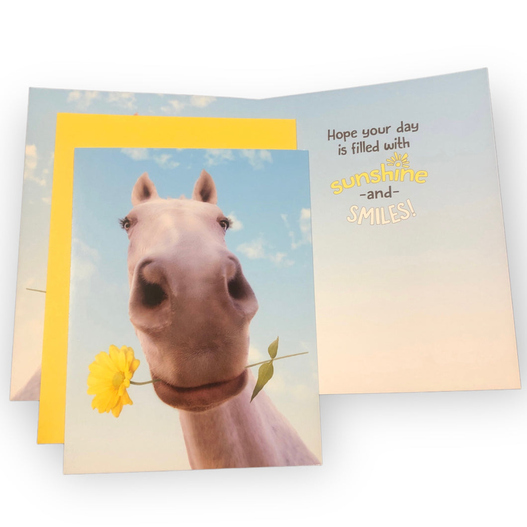 Get Well & Encouragement Cards